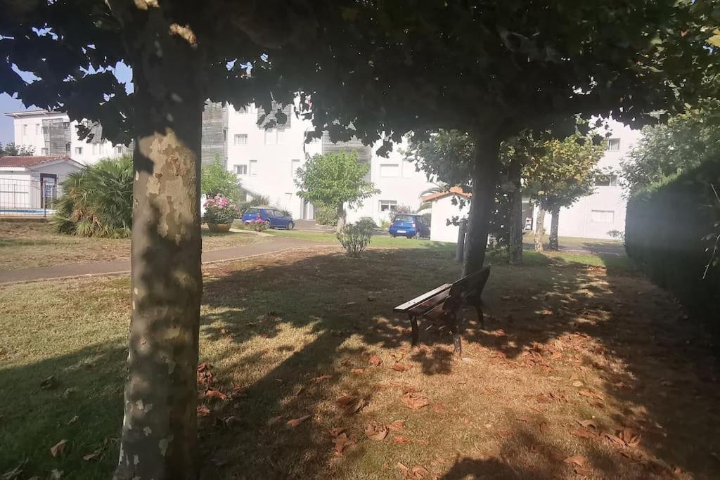 Reve De Bisca Spacieux Avec Jardin Privatif Piscine Et Parking Prives
