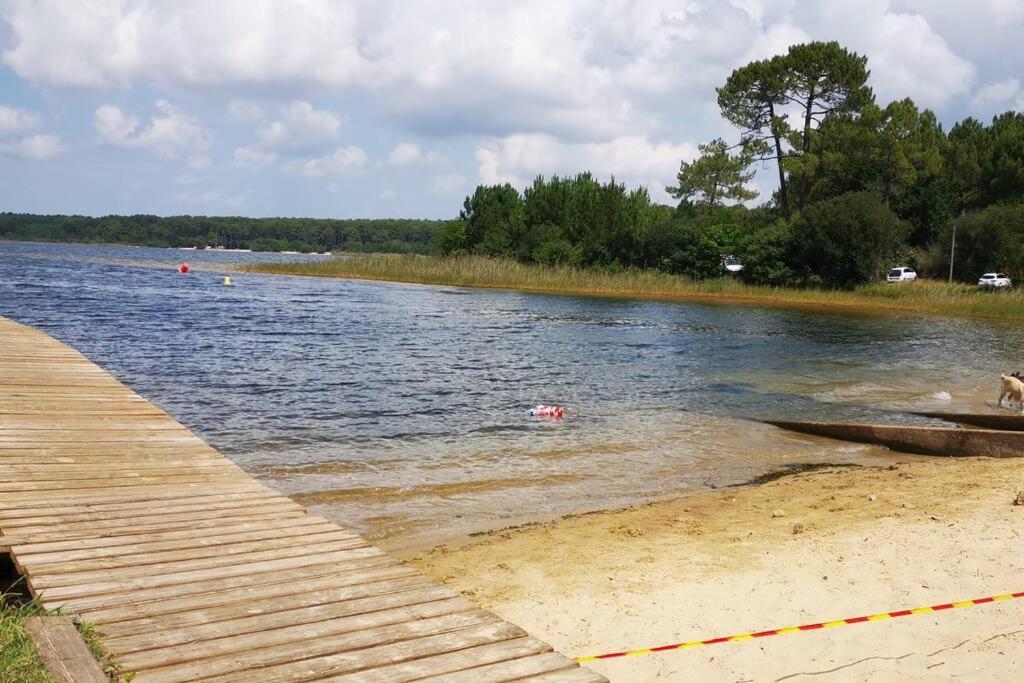 Reve De Bisca Spacieux Avec Jardin Privatif Piscine Et Parking Prives Biscarrosse