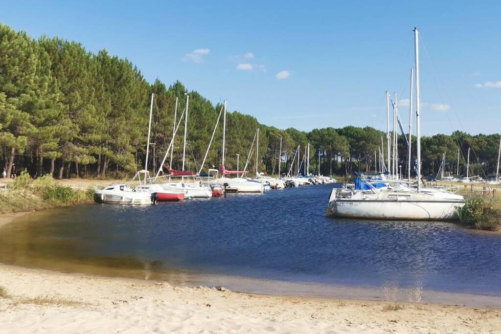 Reve De Bisca Spacieux Avec Jardin Privatif Piscine Et Parking Prives Apartment *