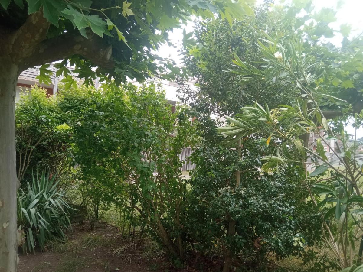 Reve De Bisca Spacieux Avec Jardin Privatif Piscine Et Parking Prives
