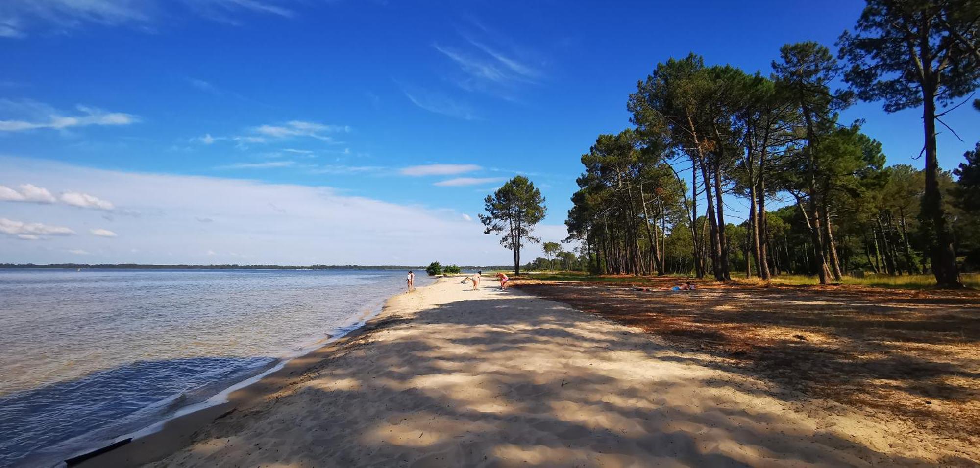 Reve De Bisca Spacieux Avec Jardin Privatif Piscine Et Parking Prives Apartment Biscarrosse